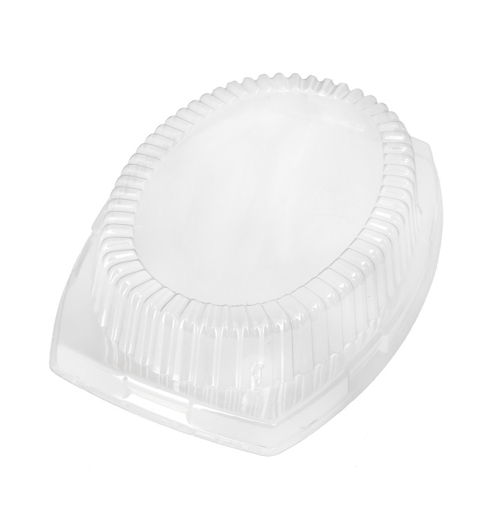 Coperchio di Plastica Trasparente 230x180x40mm Coperchio di Plastica Trasparente 230x180x40mm