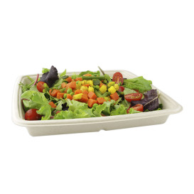 Contenitori Canna da Zucchero 1000ml 230x230x30mm (75 Pezzi)