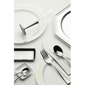 Piatto Plastica Rigida con Bordo Argento 23cm (20 Pezzi)