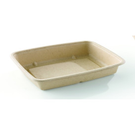 Contenitori Canna da Zucchero 600ml 230x165x30mm (75 Pezzi)