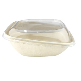 Contenitori Canna da Zucchero "Vision" 750ml 190x190x70mm (300 Pezzi)