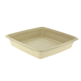 Contenitori Canna da Zucchero 1000ml 230x230x30mm 