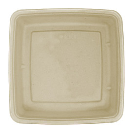 Contenitori Canna da Zucchero 1000ml 230x230x30mm (75 Pezzi)