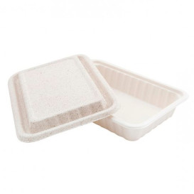 Contenitori Canna Zucchero con Bianco Coperchio 225x150x40mm (50 Pezzi)