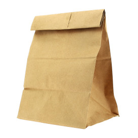 Sacchetto di Carta Kraft 22+12x30cm (25 Pezzi)