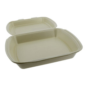 Contenitori Polistirolo MenuBOX 1C. Champagne 240x210x70mm (250 Pezzi)