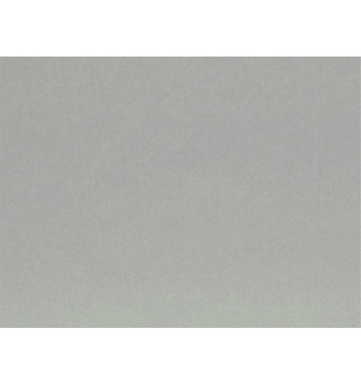 Tovaglietta Non Tessuto Airlaid Grigio 30x40cm (400 Pezzi) Tovaglietta Non Tessuto Airlaid Grigio 30x40cm (400 Pezzi)