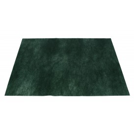 Tovaglietta Non Tessuto Verde 30x40cm 50g (500 Pezzi)