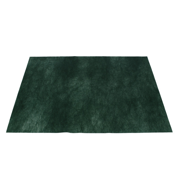 Tovaglietta Non Tessuto Verde 30x40cm 50g (500 Pezzi) Tovaglietta Non Tessuto Verde 30x40cm 50g (500 Pezzi)