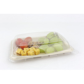 Contenitori  Bio Canna da Zucchero 20x14cm (50 Pezzi)