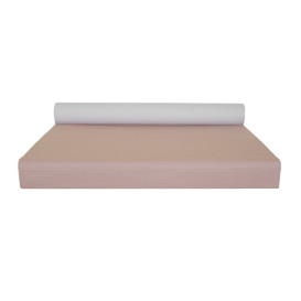 Tovaglia di Carta Rotolo Salmone 1x100m 40g (6 Unità)