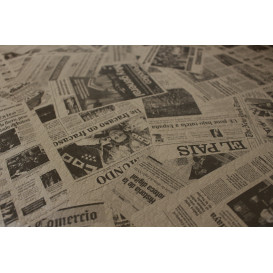 Tovaglia Carta Rotolo "Stampa" Kraft 1,2x100m 37g (1 Unità)