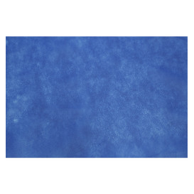 Tovaglia Rotolo Non Tessuto Blu Royal 1,2x50m 50g (1 Unità)