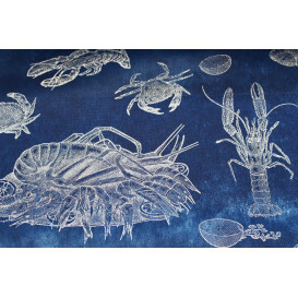 Tovaglia Rotolo Non Tessuto Blu "Frutto di Mare" 1,2x50m 50g (1 Unità)