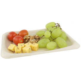 Contenitori  Bio Canna da Zucchero 20x14cm (50 Pezzi)