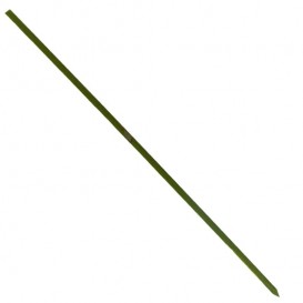 Spiedi di Bambu Verde Naturale 150mm (200 Pezzi)