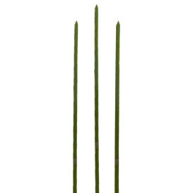 Spiedi di Bambu Verde Naturale 150mm (5000 Pezzi)