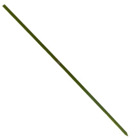 Spiedi di Bambu Verde Naturale 180mm (200 Pezzi)