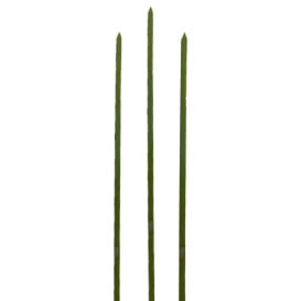 Spiedi di Bambu Verde Naturale 200mm (5000 Pezzi)