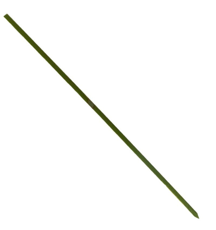 Spiedi di Bambu Verde Naturale 250mm (5000 Pezzi) Spiedi di Bambu Verde Naturale 250mm (5000 Pezzi)