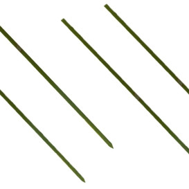Spiedi di Bambu Verde Naturale 250mm (5000 Pezzi)