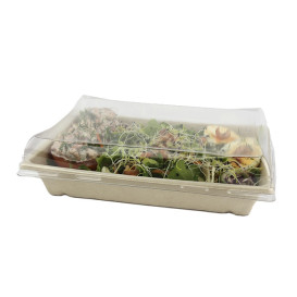 Vassoi Canna Zucchero con Coperchio 220x160x60mm (90 Pezzi)