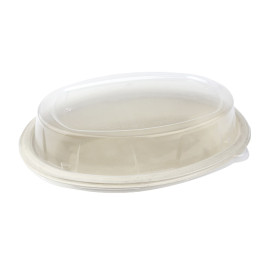 Coperchio Cupola plastica PP per Vassoio 240x170mm (300 pezzi)
