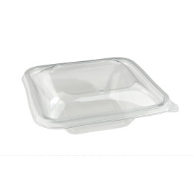 Ciotola di Plastica PET Impression 500ml 170x170x50mm (300 Pezzi)