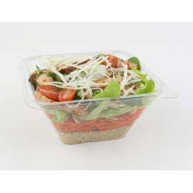 Ciotola di Plastica PET Impression 1000ml 170x170x80mm (50 Pezzi)