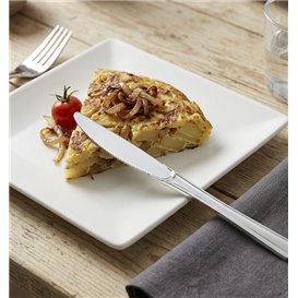 Coltello di Plastica Metallo 200mm (500 Pezzi)