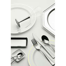 Piatto Plastica Rigida con Bordo Argento 19cm (120 Pezzi)