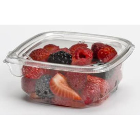 Ciotola di Plastica PET 375ml 120x120x40mm (50 Pezzi)