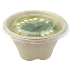 Ciotola Bio di Canna da Zucchero 375ml Ø13cm (100 Pezzi)