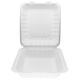 Contenitori Canna da Zucchero Bianco 20x18x5cm (50 Pezzi)