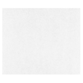 Carta Antigrasso PE Bianco 28x33cm (1000 Pezzi)