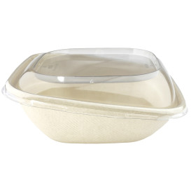 Coperchio Plastica PET Contenitori "Vision" 190x190mm (50 Pezzi)
