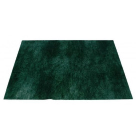 Tovaglietta Non Tessuto Verde 35x50cm 50g (500 Pezzi)