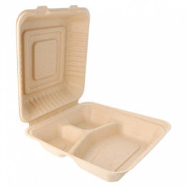 Contenitori Canna Zucchero 3S 20x20x7,5cm (200 Pezzi)