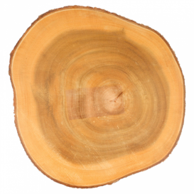 Vassoio Rotondo Presentazione Legno Ø230x35mm (1 Pezzi)