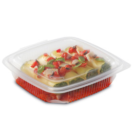 Contenitore Coperchio PP Transparente 1200ml 190x185mm (50 Pezzi)
