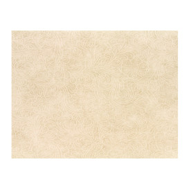 Tovaglietta Non Tessuto PLUS Beige 30x40cm (500 Pezzi)