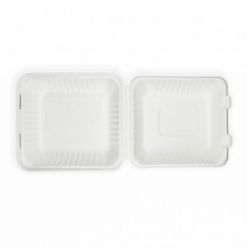 Contenitori Canna da Zucchero + PLA Bianco 20x20x7,5cm (50 Pezzi)