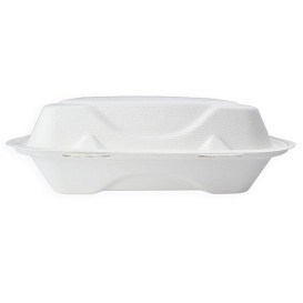 Contenitori Canna da Zucchero Bianco 3S 23x23x7,5cm (50 Pezzi)