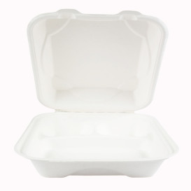 Contenitori Canna da Zucchero Bianco 3S 23x23x7,5cm (200 Pezzi)