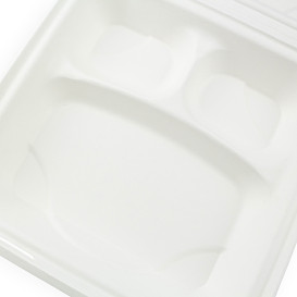 Contenitori Canna da Zucchero Bianco 3S 23x23x7,5cm (200 Pezzi)