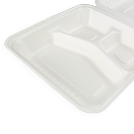Contenitori Canna da Zucchero + PLA Bianco 3S 23x23x7,5cm (50 Pezzi)