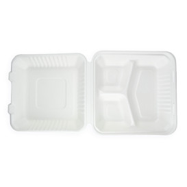 Contenitori Canna da Zucchero + PLA Bianco 3S 23x23x7,5cm (200 Pezzi)