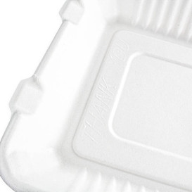 Contenitori Canna da Zucchero + PLA Bianco 3S 23x23x7,5cm (50 Pezzi)