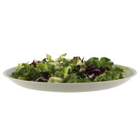 Piatto Riutilizzabile Premium PP Minerale Gringio Ø27,5cm (6 Pezzi)