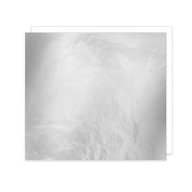 Wrap Alluminio Doppio Strato Carta Argento 35,5x40,5cm (1.000 Pezzi)